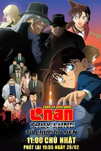 Thám Tử Lừng Danh Conan 13: Truy Lùng Tổ Chức Áo Đen